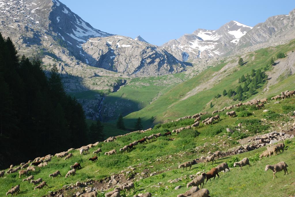Le Clos Du Berger Le Sauze Εξωτερικό φωτογραφία
